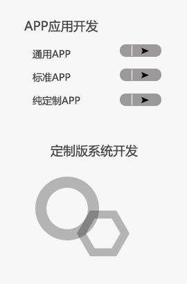 西软 app设计开发 软件定制开发